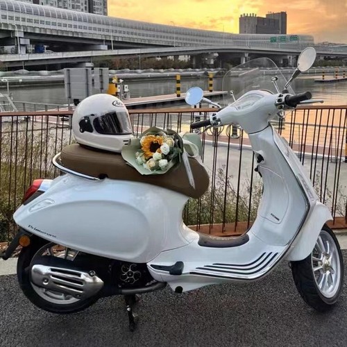 New for vespa primavera - for,